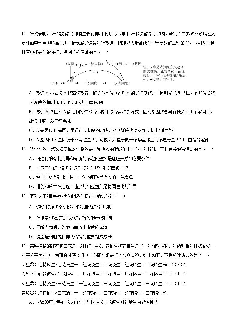 2024重庆北碚区缙云教育联盟高三上学期零诊试题生物含答案03