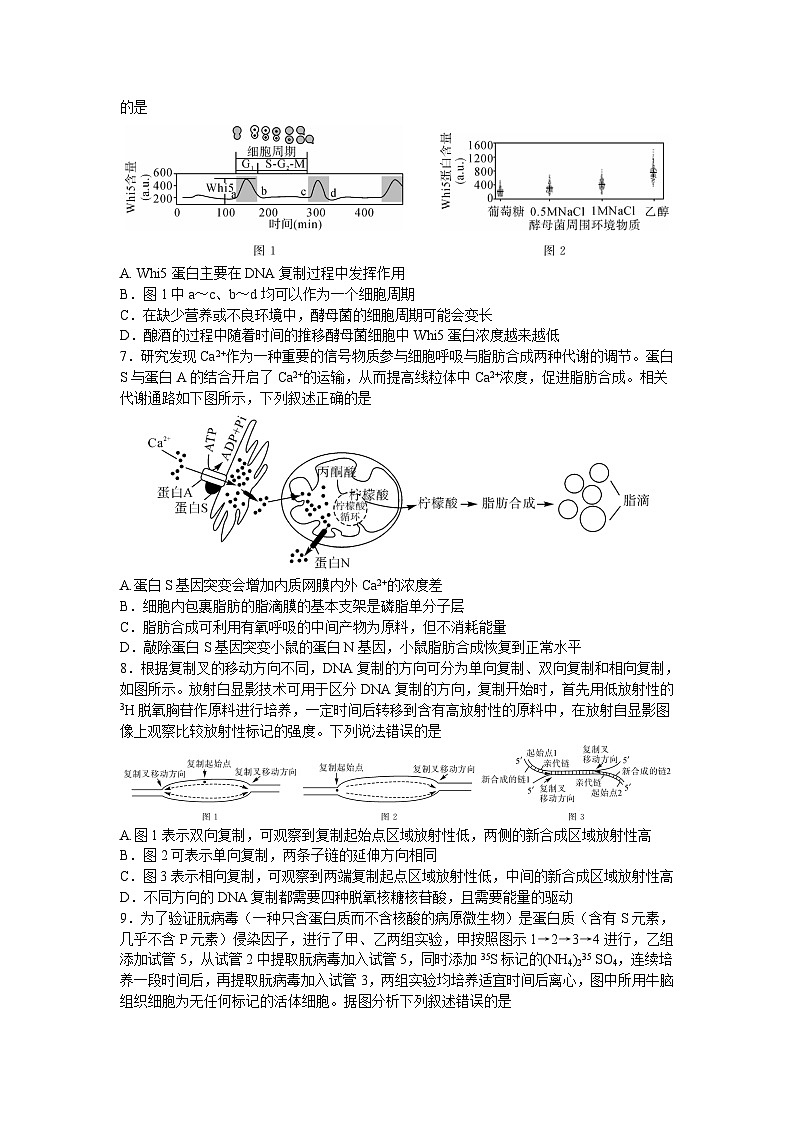 2024湖南省五市十校教研教改共同体高三上学期12月大联考试题生物含解析02