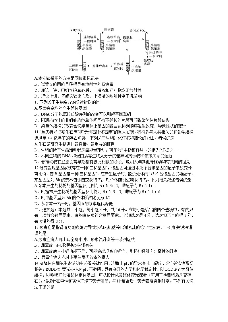 2024湖南省五市十校教研教改共同体高三上学期12月大联考试题生物含解析03