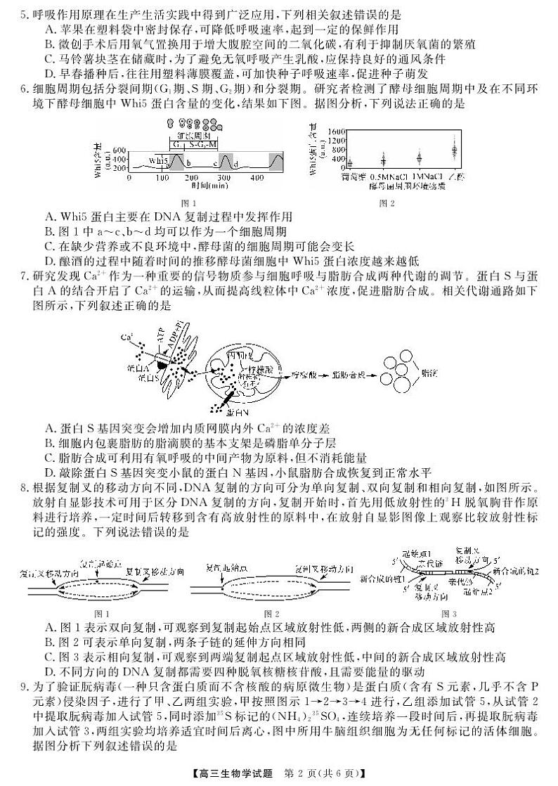 五市十校教研教改共同体·2024届高三12月大联考生物第2页