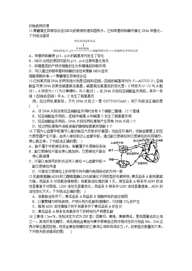 2024东莞虎门中学等七校高三上学期联考试题生物含答案03