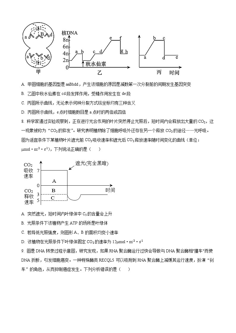 2024重庆市荣昌中学高三上学期12月月考试题生物含解析第3页