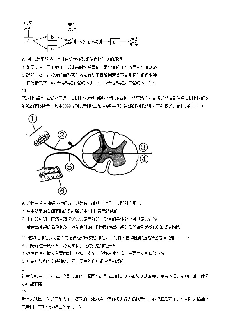 天津市天津中学2023-2024学年高二上学期第一次月考生物试题无答案第3页