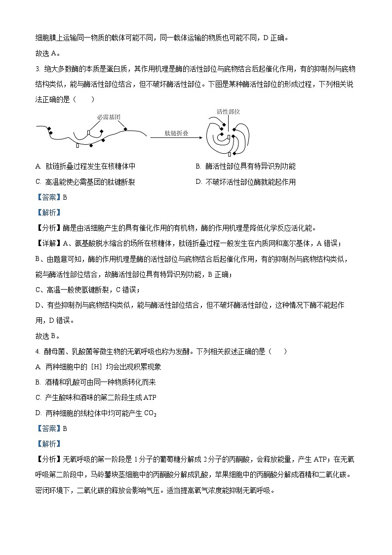 精品解析：广东省深圳外国语学校2023—2024学年高三上学期第四次月考生物试题03
