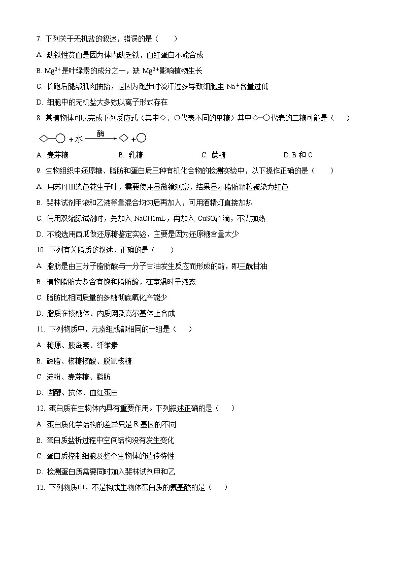 精品解析：广东省深圳中学2023-2024学年高一11月期中生物试题02