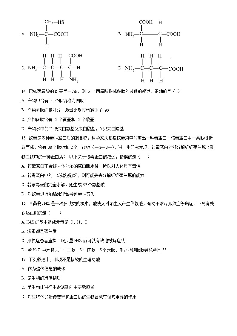 精品解析：广东省深圳中学2023-2024学年高一11月期中生物试题03