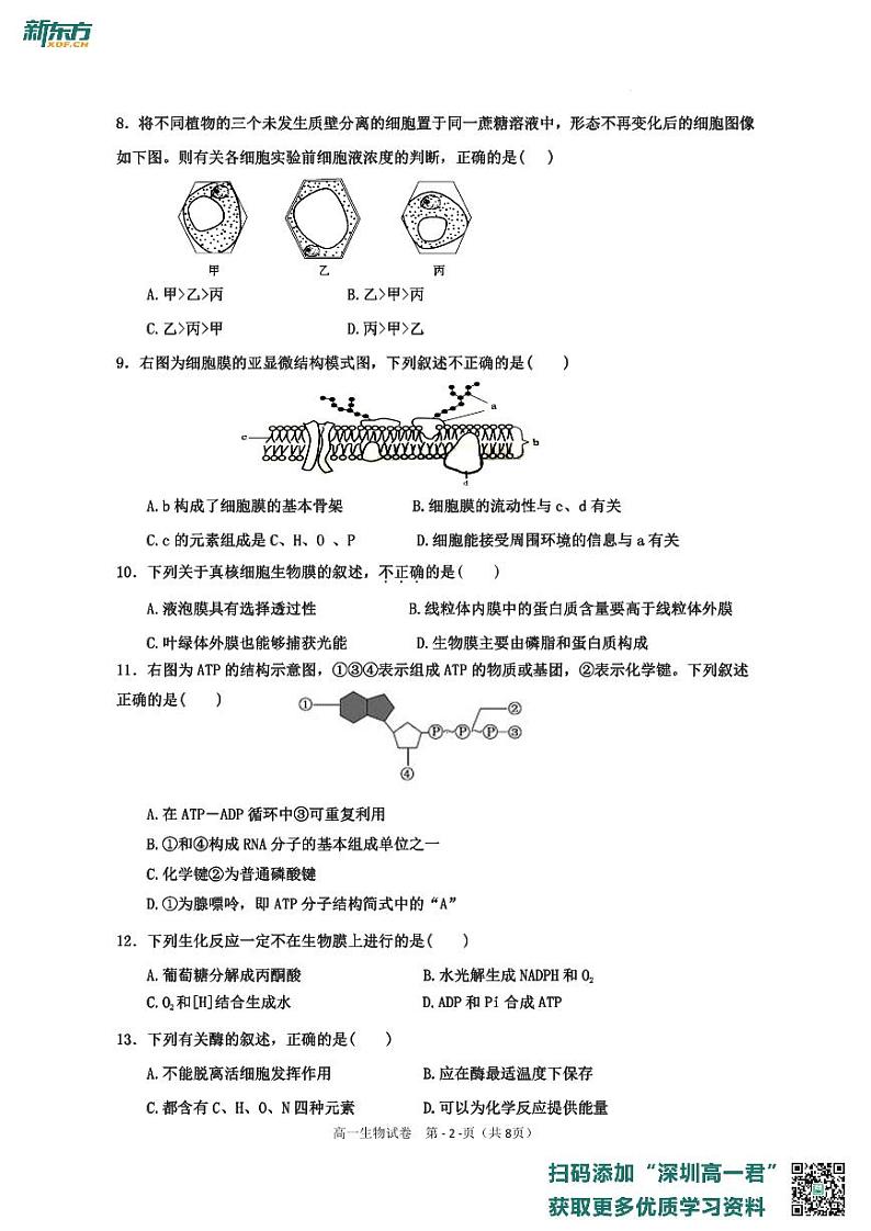 红岭中学2022-2023学年度第一学期第二学段考试高一生物期末考试试卷第2页
