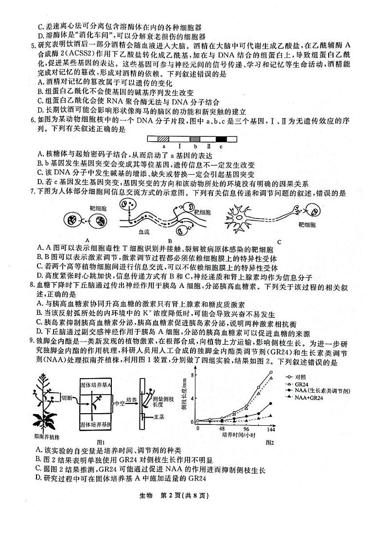 辽宁省名校联盟2023-2024学年高二上学期12月月考生物试题第2页