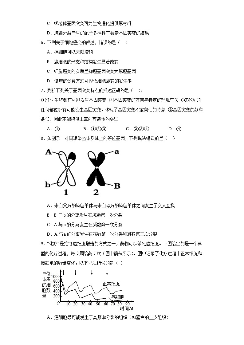 人教版高中生物必修二5.1基因突变和基因重组课件+同步分层练习（含答案解析）02