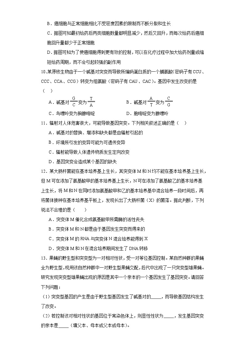 人教版高中生物必修二5.1基因突变和基因重组课件+同步分层练习（含答案解析）03