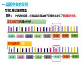 人教版高中生物必修二5.1基因突变和基因重组课件+同步分层练习（含答案解析）