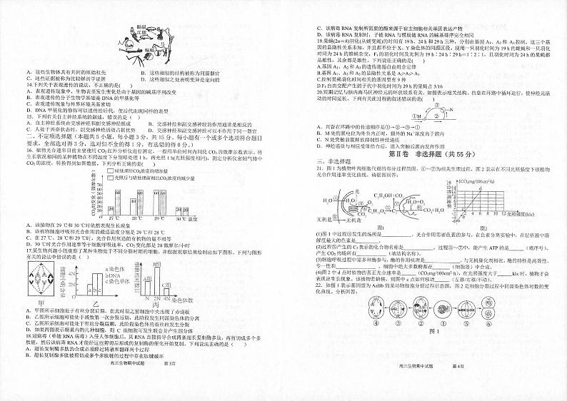 辽宁省辽西联合校2024届高三上学期期中考试生物02