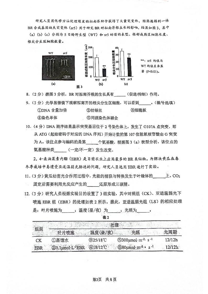 2024届上海市闵行区高三一模生物试卷03