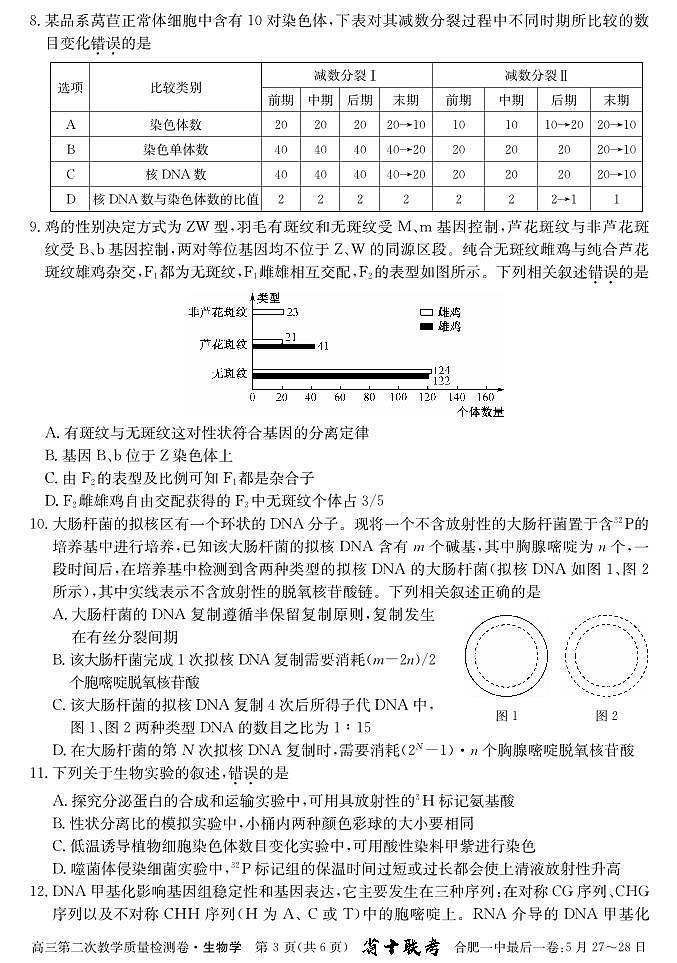 2024届安徽省十联考 合肥一中2024届高三第二次教学质量检测生物03