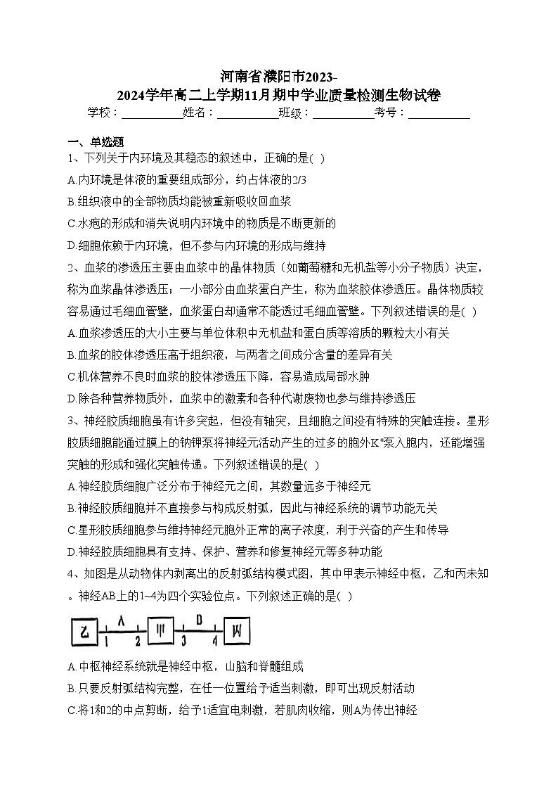 河南省濮阳市2023-2024学年高二上学期11月期中学业质量检测生物试卷(含答案)01