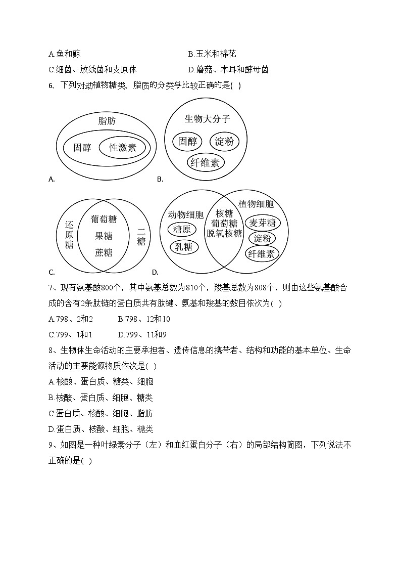 霍尔果斯市苏港中学2022-2023学年高一上学期期中教学检测生物试卷(含答案)02