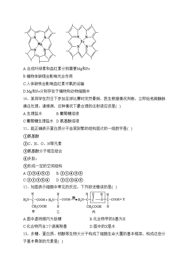 霍尔果斯市苏港中学2022-2023学年高一上学期期中教学检测生物试卷(含答案)03