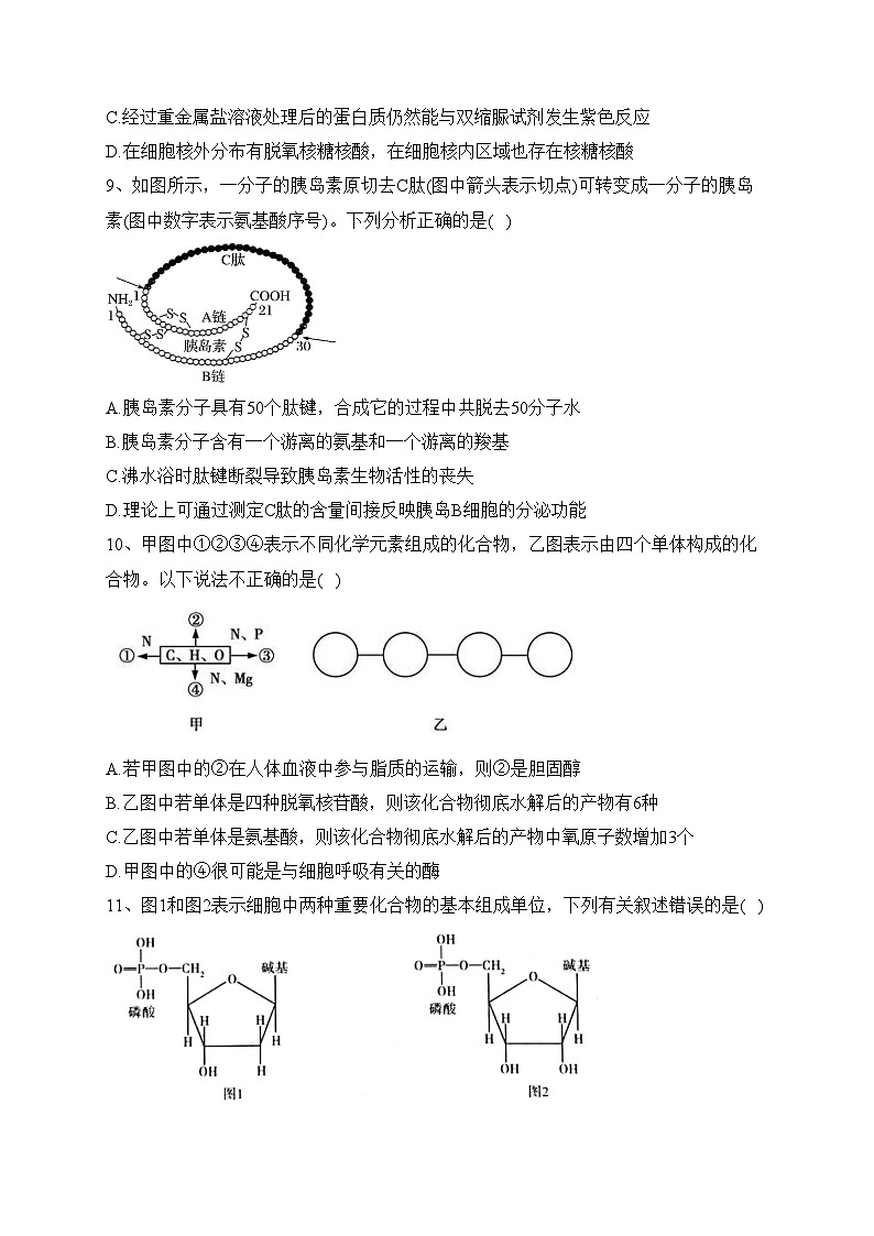 石河子第一中学2023-2024学年高一上学期11月月考生物试卷(含答案)第3页