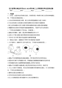 四川省南充高级中学2023-2024学年高二上学期期中考试生物试卷(含答案)