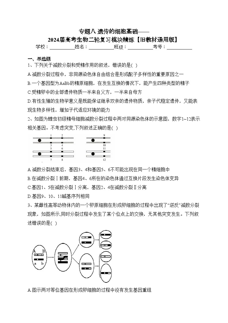 专题八 遗传的细胞基础——2024届高考生物二轮复习模块精练【旧教材通用版】(含答案)第1页