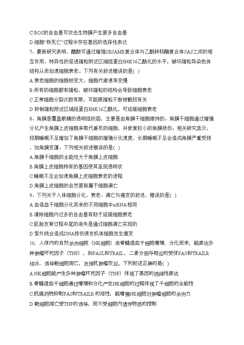 专题七 细胞的生命历程——2024届高考生物二轮复习模块精练【旧教材通用版】(含答案)第3页