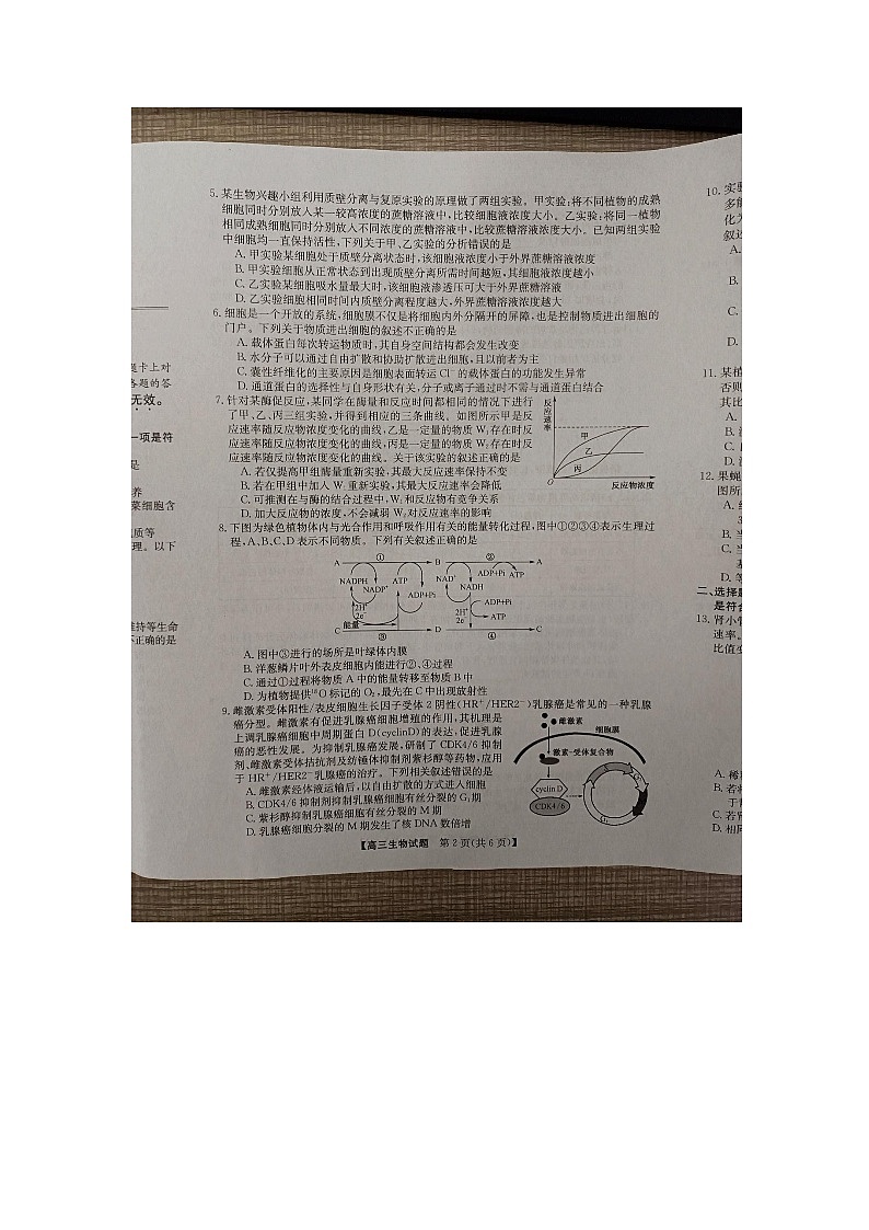 安徽省亳州市蒙城县2023—2024学年高三上学期期中联考生物第2页