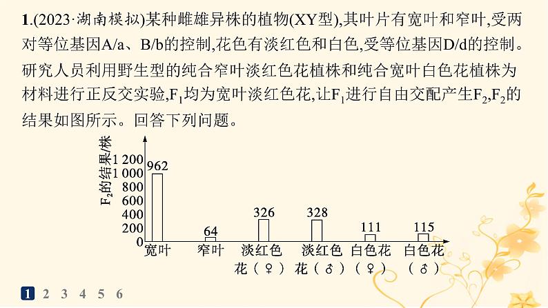 适用于新高考新教材2024版高考生物二轮复习大题分析与表达练3变异与育种课件第2页