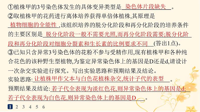 适用于新高考新教材2024版高考生物二轮复习大题分析与表达练3变异与育种课件第4页