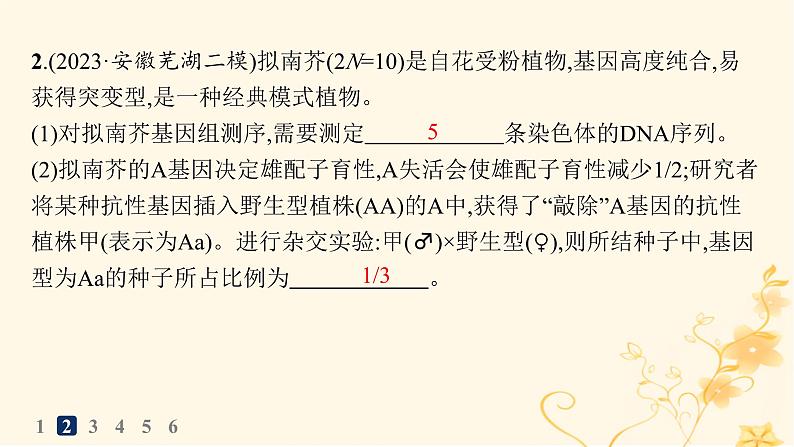 适用于新高考新教材2024版高考生物二轮复习大题分析与表达练3变异与育种课件第7页