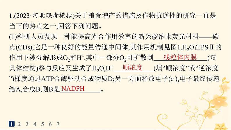 适用于新高考新教材2024版高考生物二轮复习大题分析与表达练1细胞代谢课件第2页