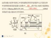 适用于新高考新教材2024版高考生物二轮复习大题分析与表达练1细胞代谢课件