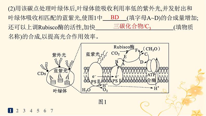 适用于新高考新教材2024版高考生物二轮复习大题分析与表达练1细胞代谢课件第3页