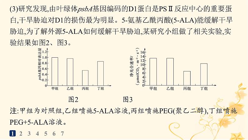 适用于新高考新教材2024版高考生物二轮复习大题分析与表达练1细胞代谢课件第4页