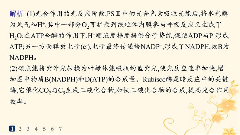 适用于新高考新教材2024版高考生物二轮复习大题分析与表达练1细胞代谢课件第6页