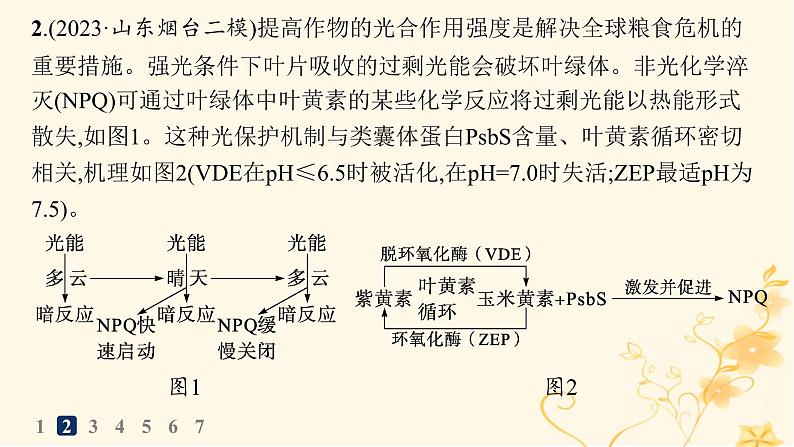 适用于新高考新教材2024版高考生物二轮复习大题分析与表达练1细胞代谢课件第8页