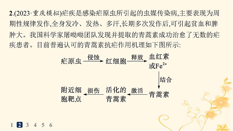 适用于新高考新教材2024版高考生物二轮复习大题分析与表达练4个体生命活动的调节课件07