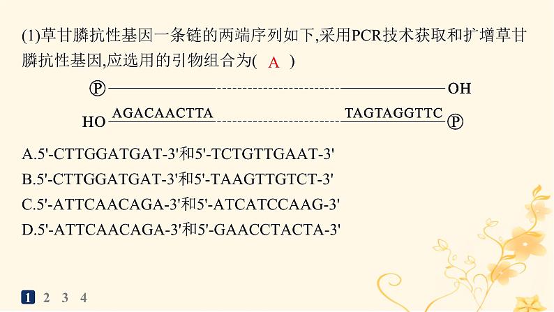 适用于新高考新教材2024版高考生物二轮复习大题分析与表达练6基因工程类大题突破课件03