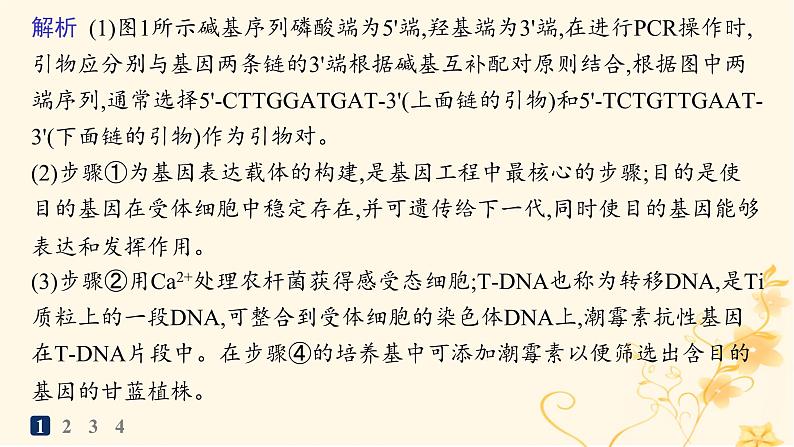 适用于新高考新教材2024版高考生物二轮复习大题分析与表达练6基因工程类大题突破课件06