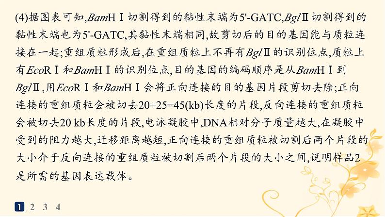 适用于新高考新教材2024版高考生物二轮复习大题分析与表达练6基因工程类大题突破课件07