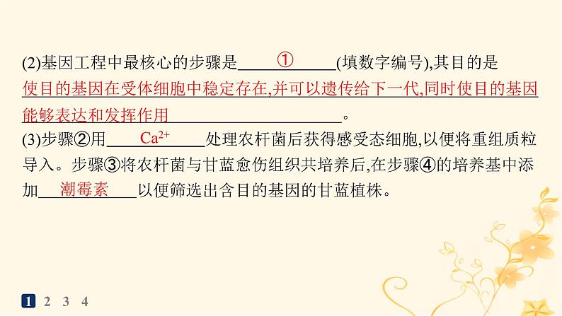 适用于新高考新教材2024版高考生物二轮复习大题分析与表达练6基因工程类大题突破课件04