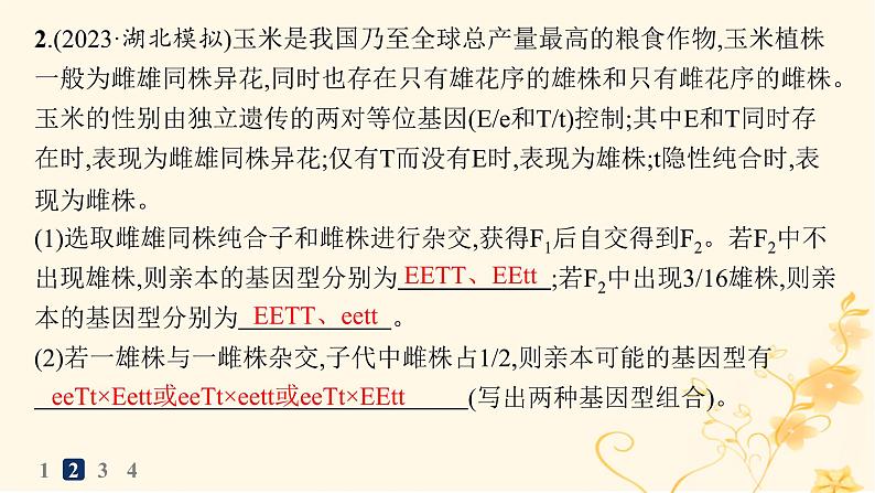 适用于新高考新教材2024版高考生物二轮复习大题分析与表达练6基因工程类大题突破课件08