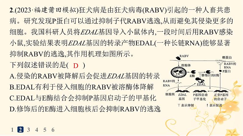 适用于新高考新教材2024版高考生物二轮复习热点专题练1簿课件04