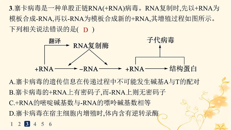 适用于新高考新教材2024版高考生物二轮复习热点专题练1簿课件06