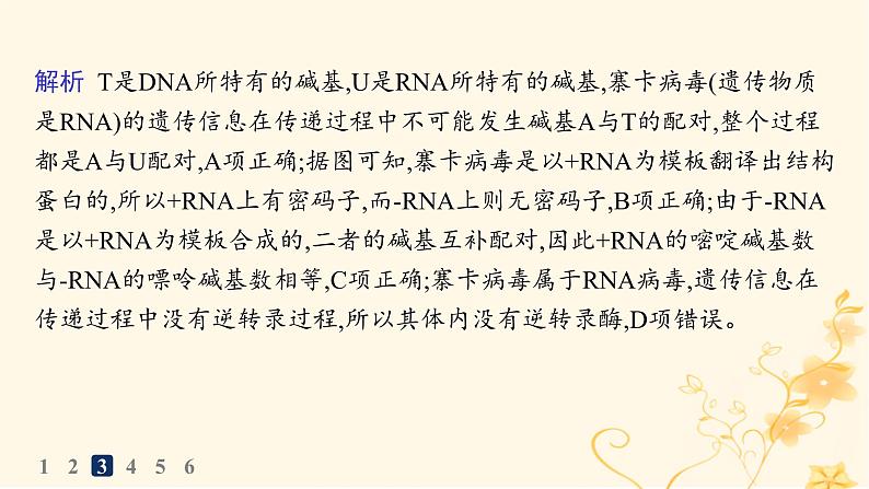 适用于新高考新教材2024版高考生物二轮复习热点专题练1簿课件07