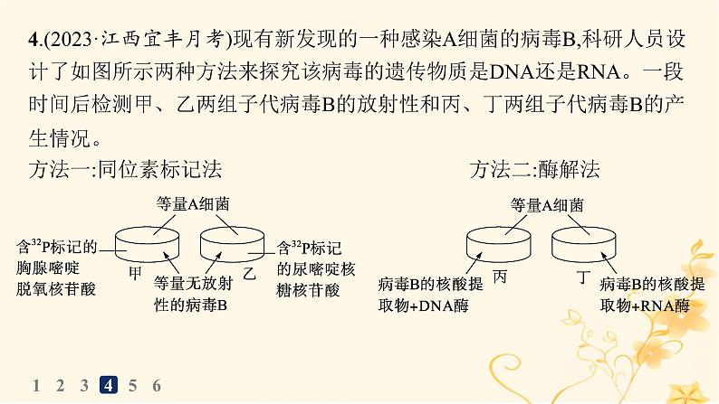 适用于新高考新教材2024版高考生物二轮复习热点专题练1簿课件08