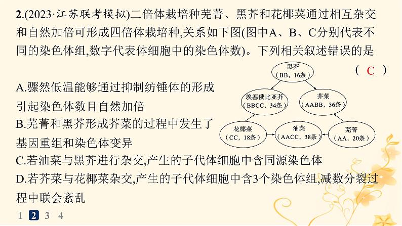 适用于新高考新教材2024版高考生物二轮复习热点专题练2提高农作物产量课件04