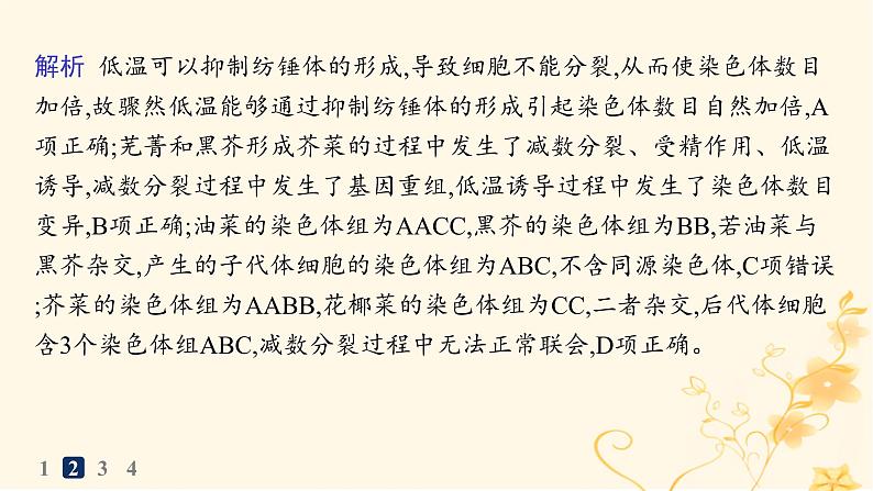 适用于新高考新教材2024版高考生物二轮复习热点专题练2提高农作物产量课件05