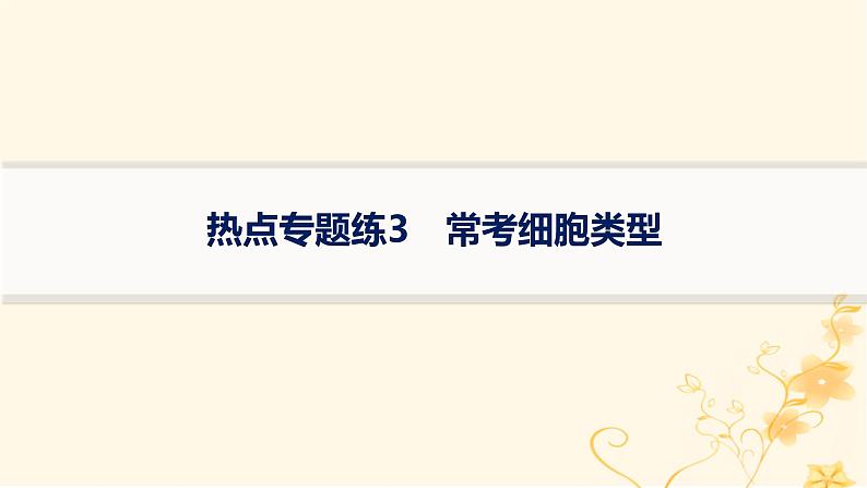 适用于新高考新教材2024版高考生物二轮复习热点专题练3常考细胞类型课件第1页