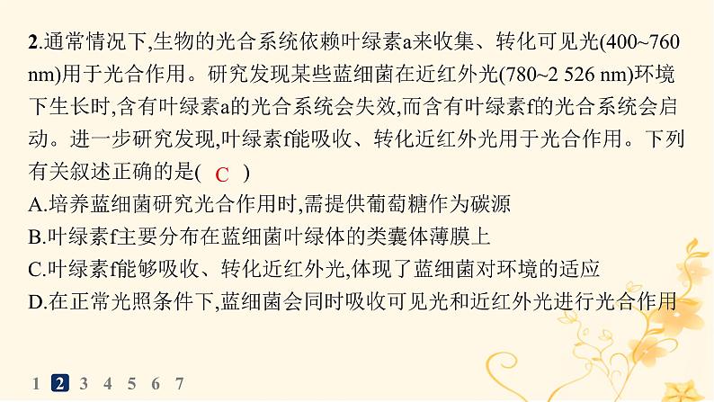 适用于新高考新教材2024版高考生物二轮复习热点专题练3常考细胞类型课件第4页