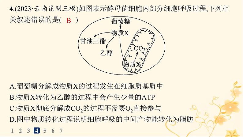 适用于新高考新教材2024版高考生物二轮复习热点专题练3常考细胞类型课件第8页